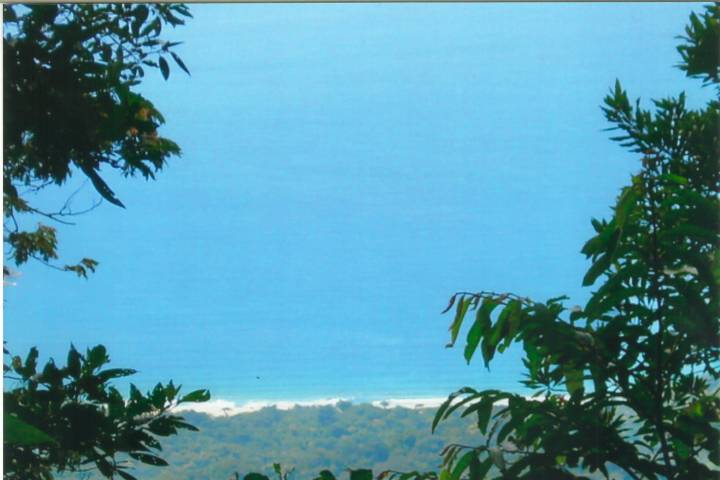 Caminho para a Praia de Castelhanos - Ilhabela SP