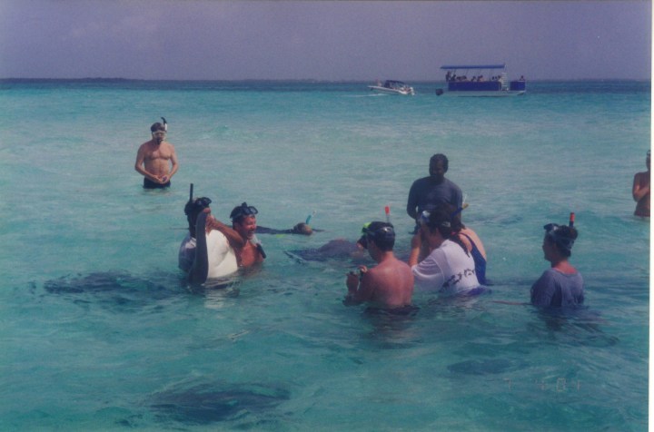 Stingray City - Grand Cayman