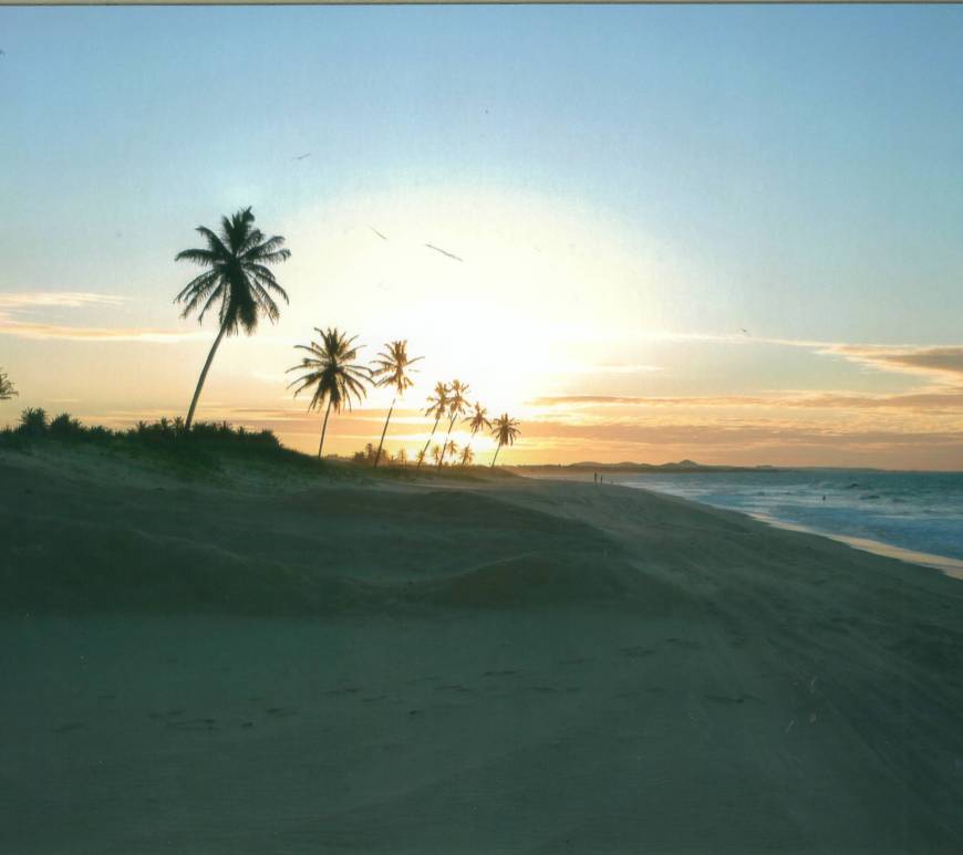 Cumbuco Fortaleza CE