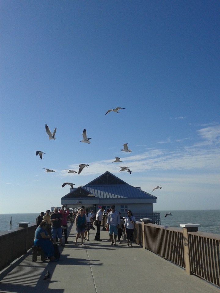pierclearwaterbeach