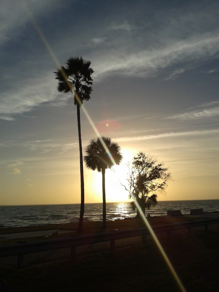 POR DO SOL EM CLEARWATER FLORIDA