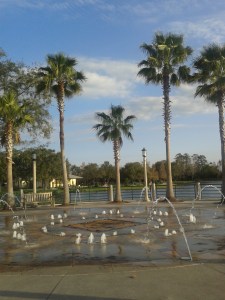 FONTE E LAGO EM CELEBRATION ORLANDO
