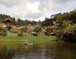 ADEGA E REST. QUINTA DO OLIVARDO SAO ROQUE SP