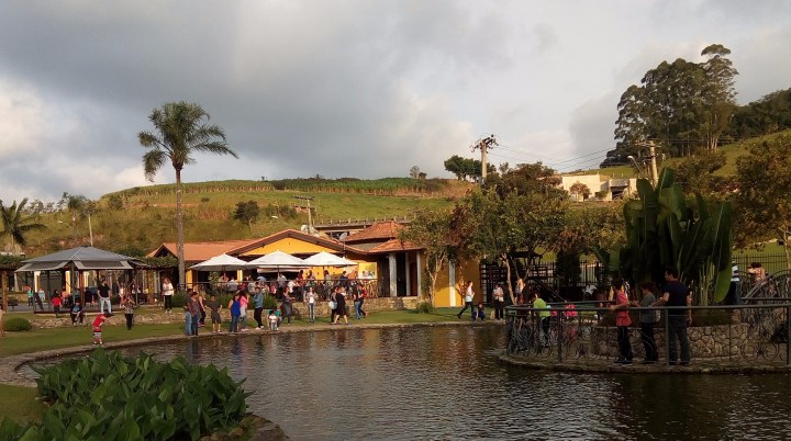 VINICOLA GOES SAO ROQUE SP