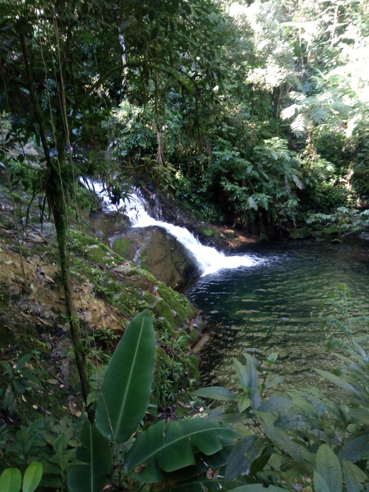 CACHOEIRA SERTAO DO CAMBURI - SAO SEBASTIAO SP