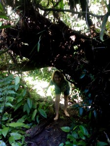 TRILHA SERTAO DO CAMBURI SP