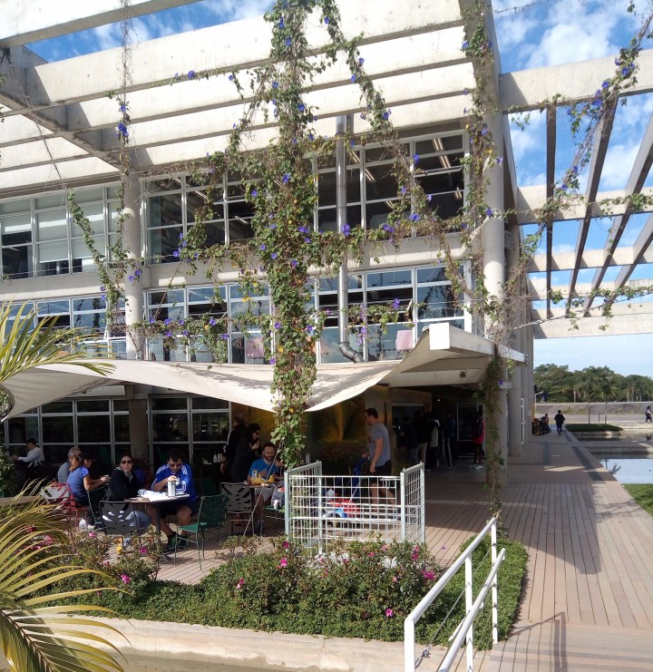 BIBLIOTECA VILLA LOBOS - SP