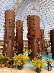 ORQUIDÁRIO RUTH CARDOSO - PARQUE VILLA LOBOS SP