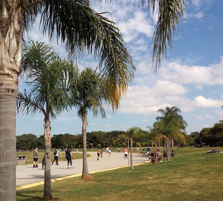PATINANDO NO PARQUE VILLA LOBOS SP