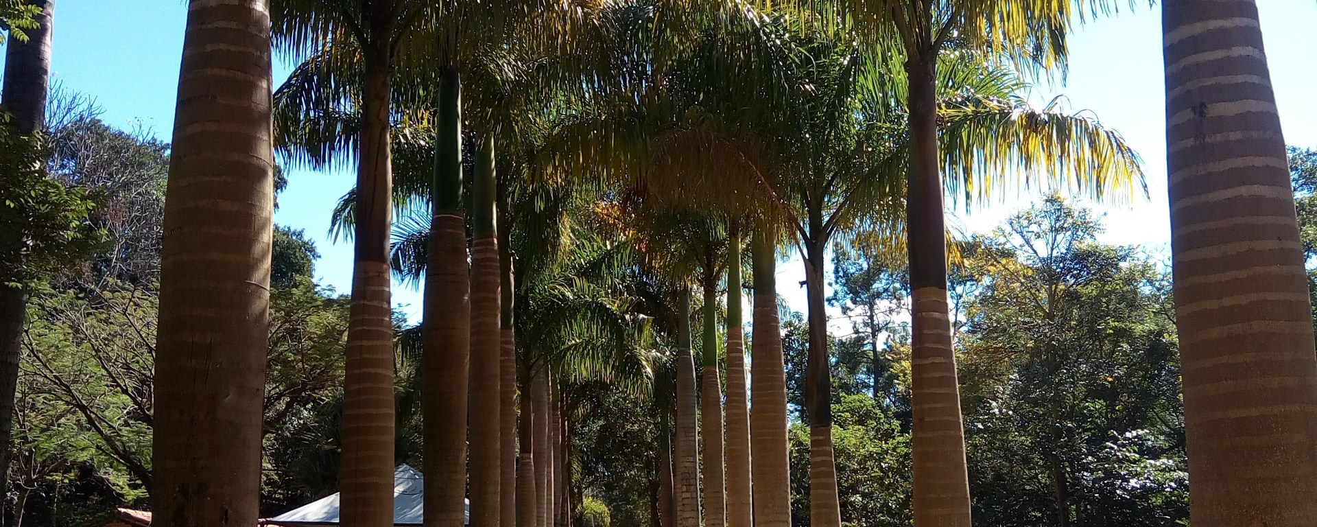 PARQUE DA MINA DE OURO ARACARIGUAMA SP