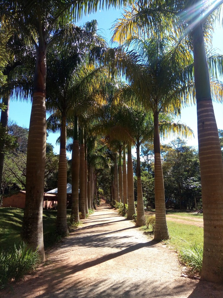 PARQUE DA MINA DE OURO ARACARIGUAMA SP