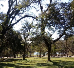 PARQUE DO CARMO SP