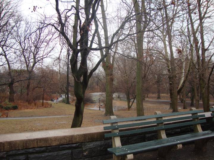 Central Park - New York