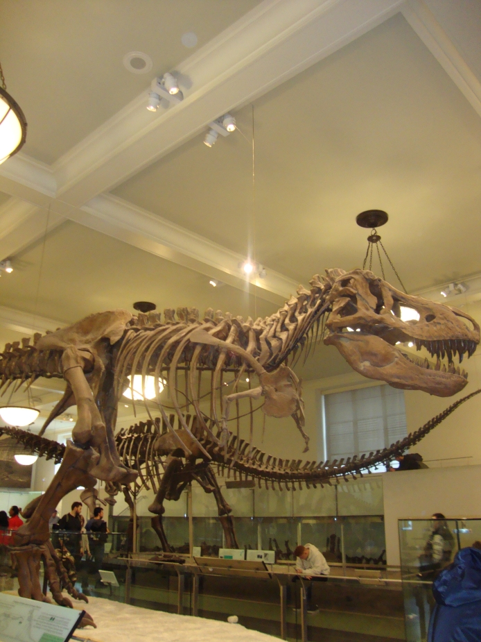 T-Rex - Museu de História Natural em Nova Iorque