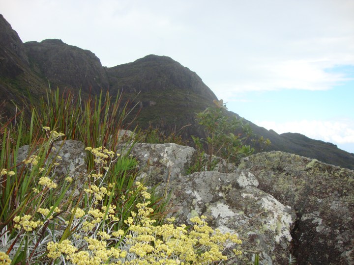 Trilha Pico dos Marins