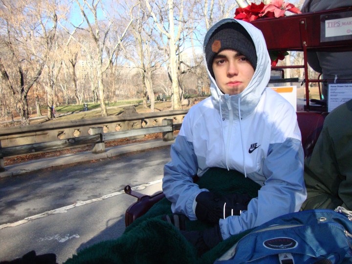 Carruagem no Central Park, Nova Iorque