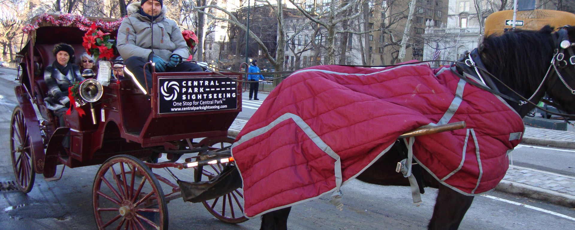 Carruagem no Central Park, Nova Iorque