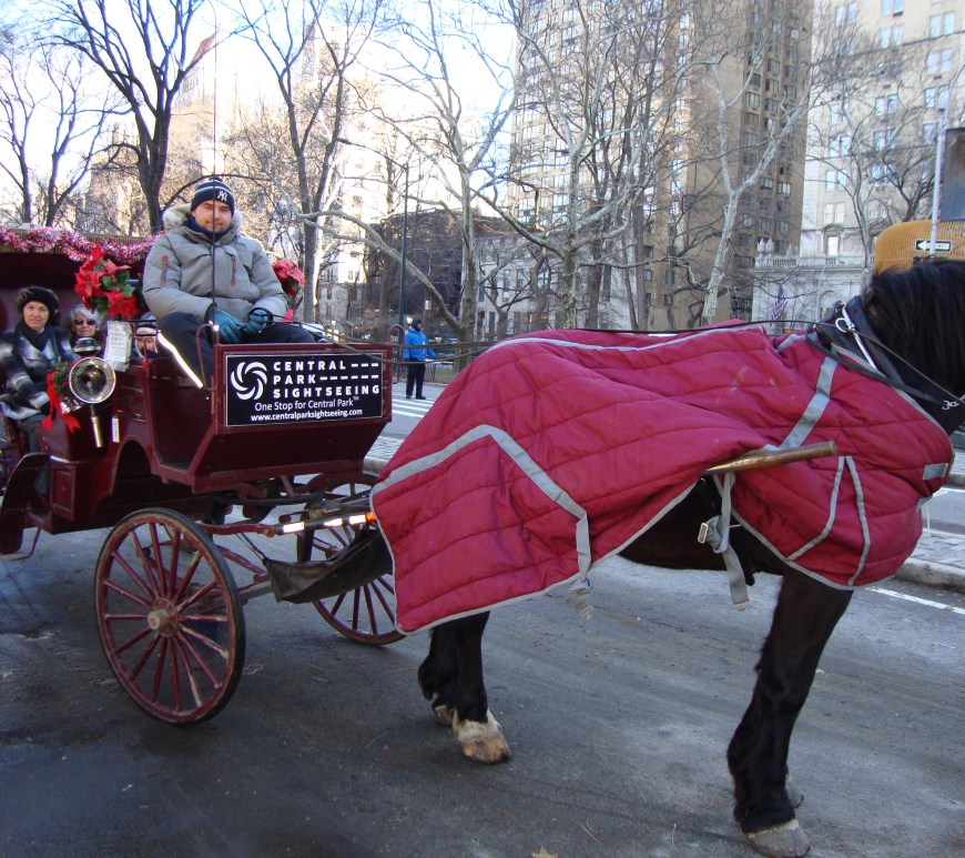 Carruagem no Central Park, Nova Iorque