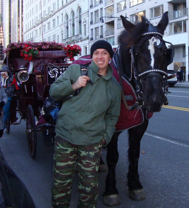 Carruagem no Central Park, Nova Iorque