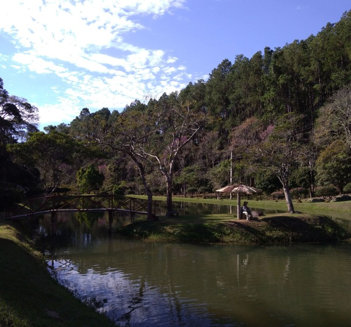 Floresta Nacional de Passa Qyatro MG