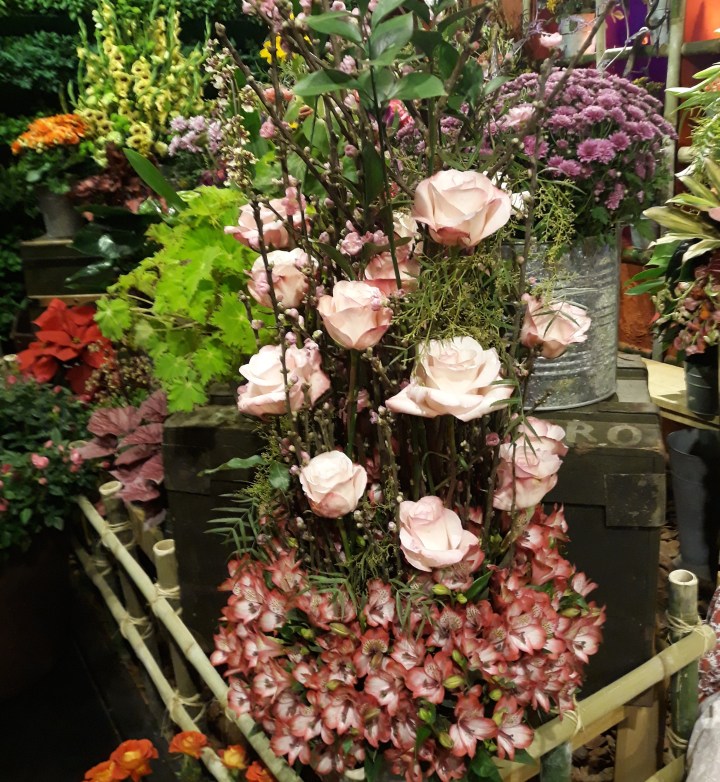 Expoflora Holambra SP