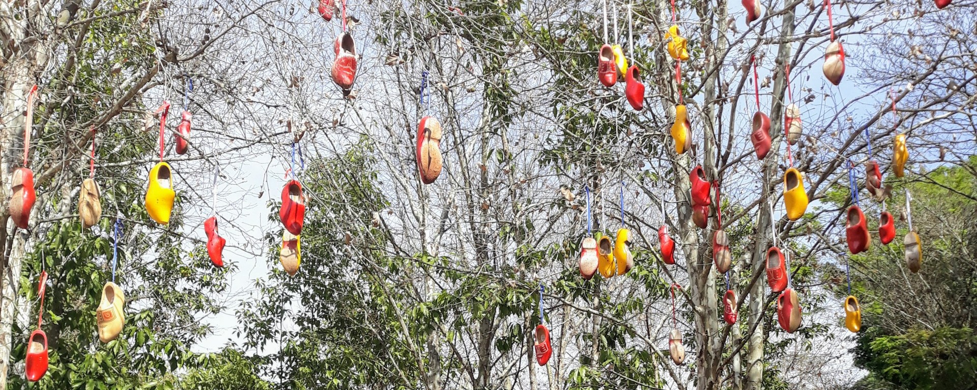 Expoflora Holambra SP