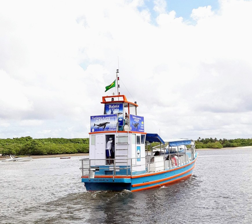 Passeio de barco - Baleia Jubarte em Arraial D'Ajuda