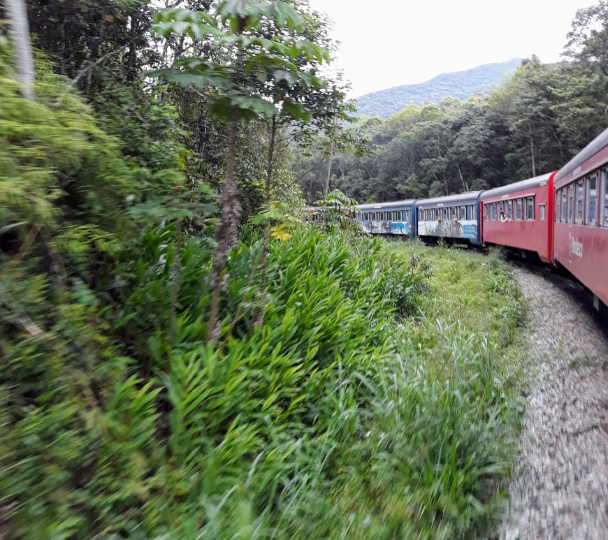 Trem Morretes-Curitiba PR