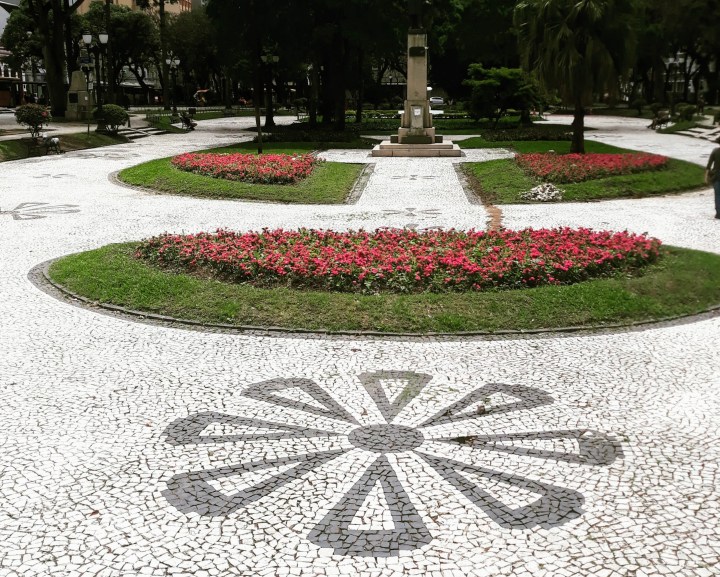 Curitiba e araucárias