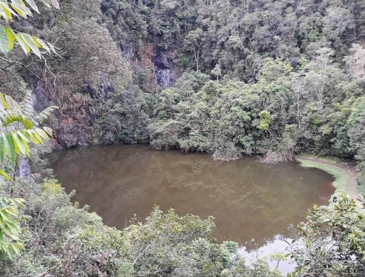 Bosque Zaninelli/Unilivre Curitiba