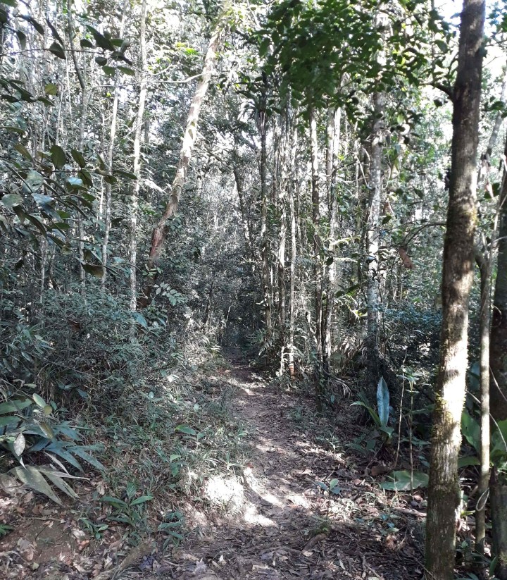 Parque Ecológico Imigrantes - PEI