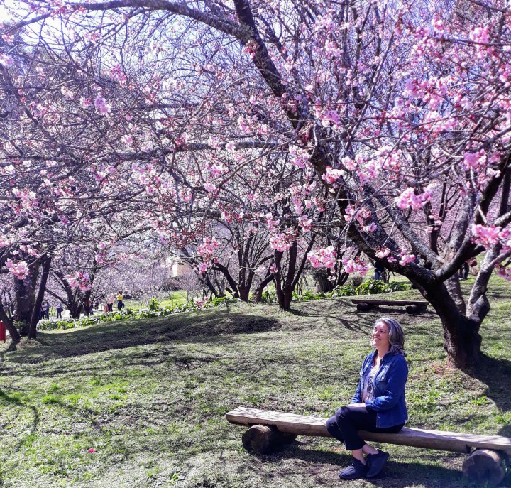 Campos do Jordão SP