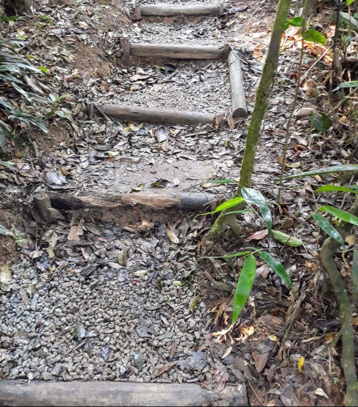 Parque Ecológico Imigrantes - PEI