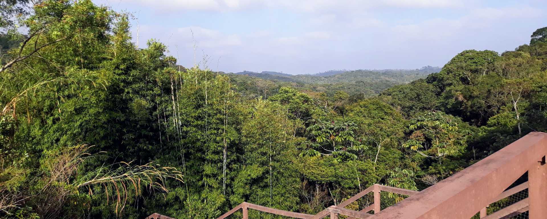 Parque Ecológico Imigrantes