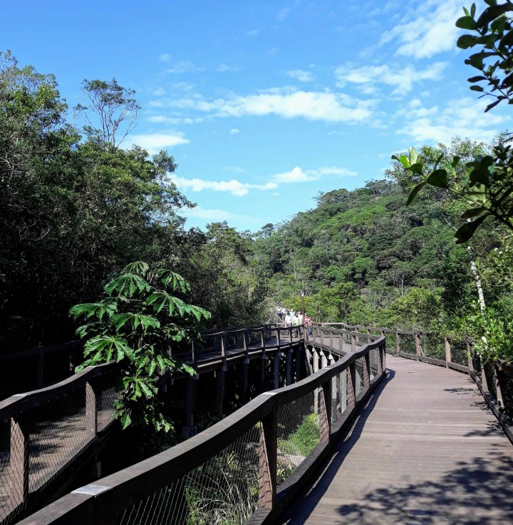 Parque Ecológico Imigrantes