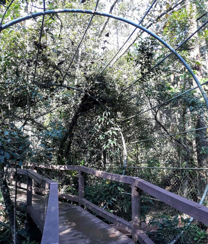 Parque Ecológico Imigrantes